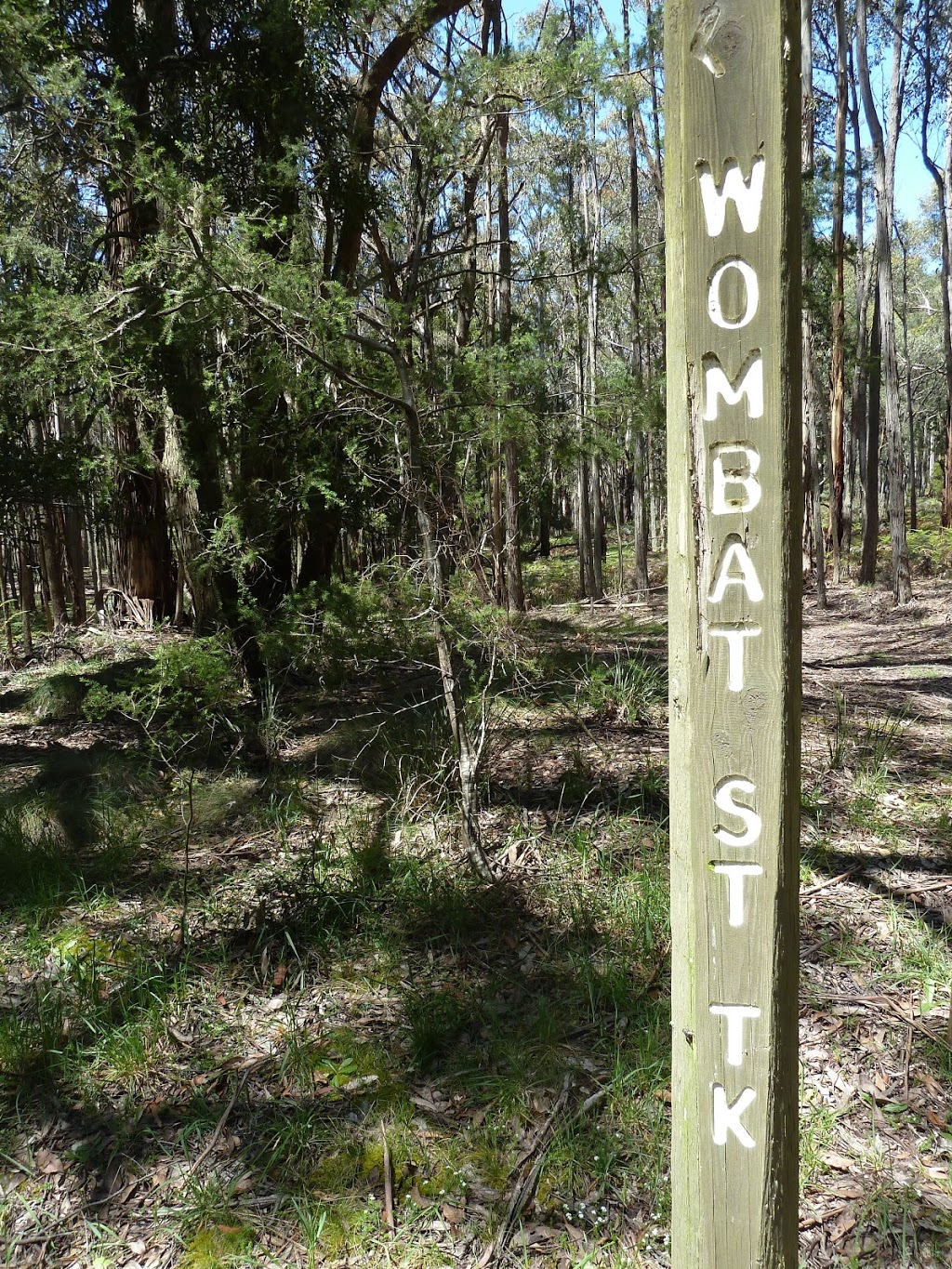 Wombat State Forest | health | 26 Pinchgut Rd, Rocklyn VIC 3364, Australia | 0477439545 OR +61 477 439 545