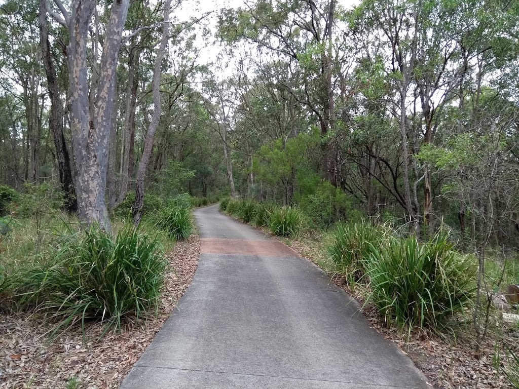 Lakeview parkrun | health | The Shores Way, Belmont NSW 2280, Australia