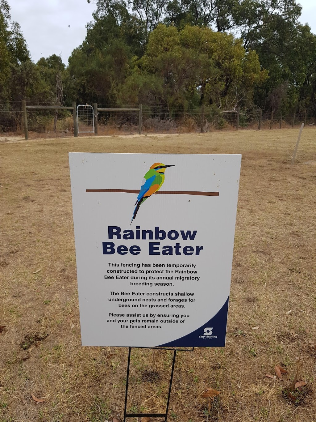 Gwelup Lake Reserve, Rainbow Bee Eaters | park | Lake, Gwelup WA 6018, Australia