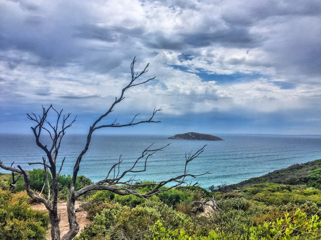 Fairy Cove | Bass Strait, VIC, Australia | Phone: 13 19 63