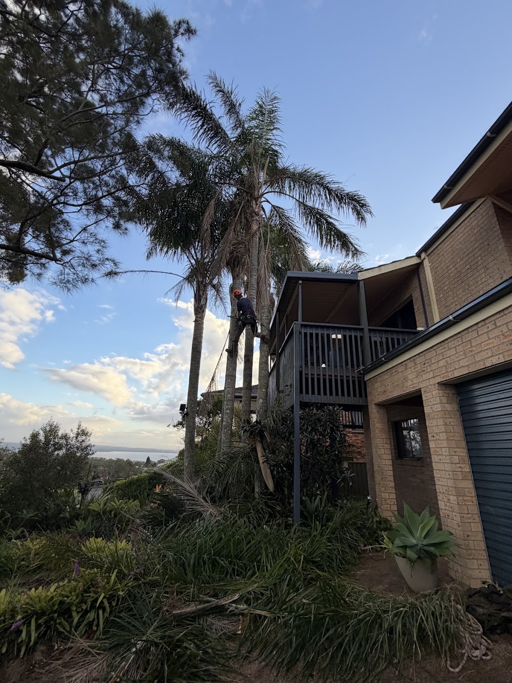 Davies tree services | 116 Bagnall Beach Rd, Corlette NSW 2315, Australia | Phone: 0432 739 097