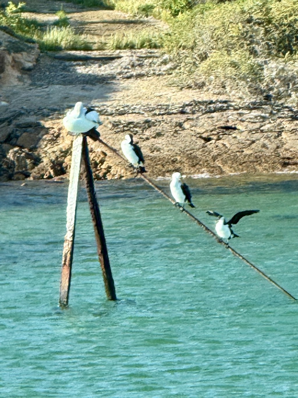 Thevenard Marina Facilty | 247B Slipway Rd, Thevenard SA 5690, Australia | Phone: (08) 8625 3407