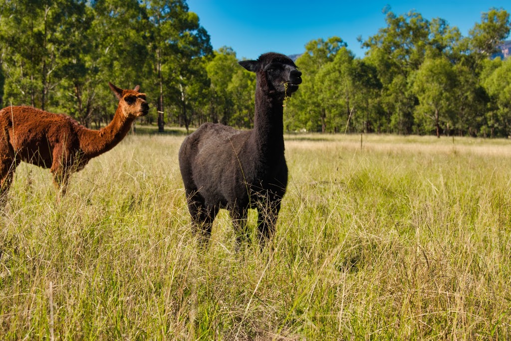 Capertee Valley Farmstays | 4679 Glen Alice Rd, Glen Davis NSW 2486, Australia | Phone: 0414 243 942