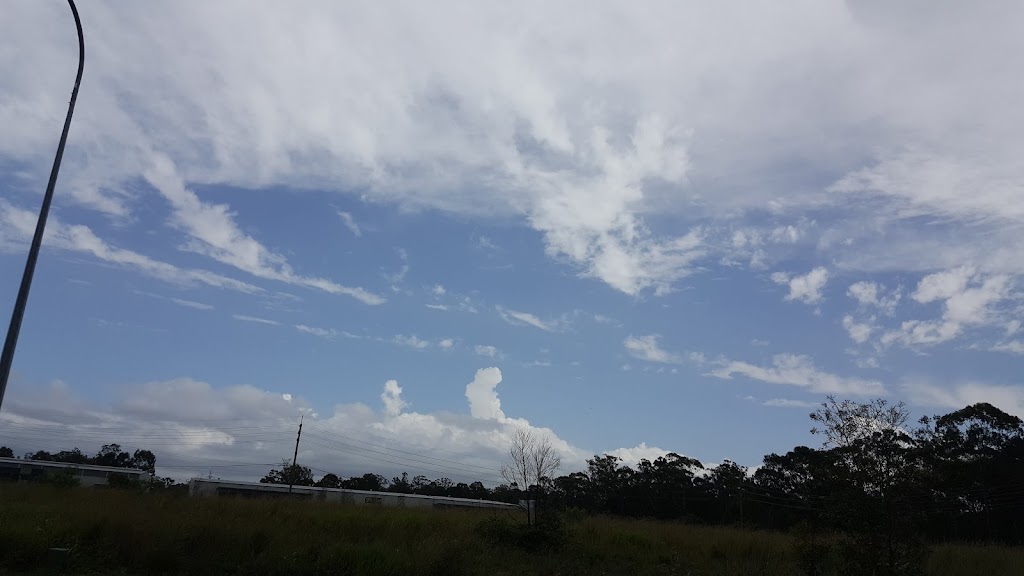 Cargo And Logistics Management Brisbane | Unit 2/91 Darlington Dr, Yatala QLD 4207, Australia | Phone: (07) 3805 1212