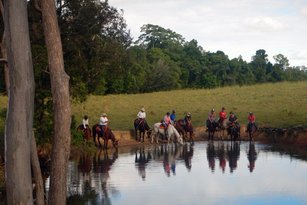 Rainbow Beach Country Horse Rides | travel agency | 84 Henry Rd, Goomboorian QLD 4570, Australia | 0412174337 OR +61 412 174 337