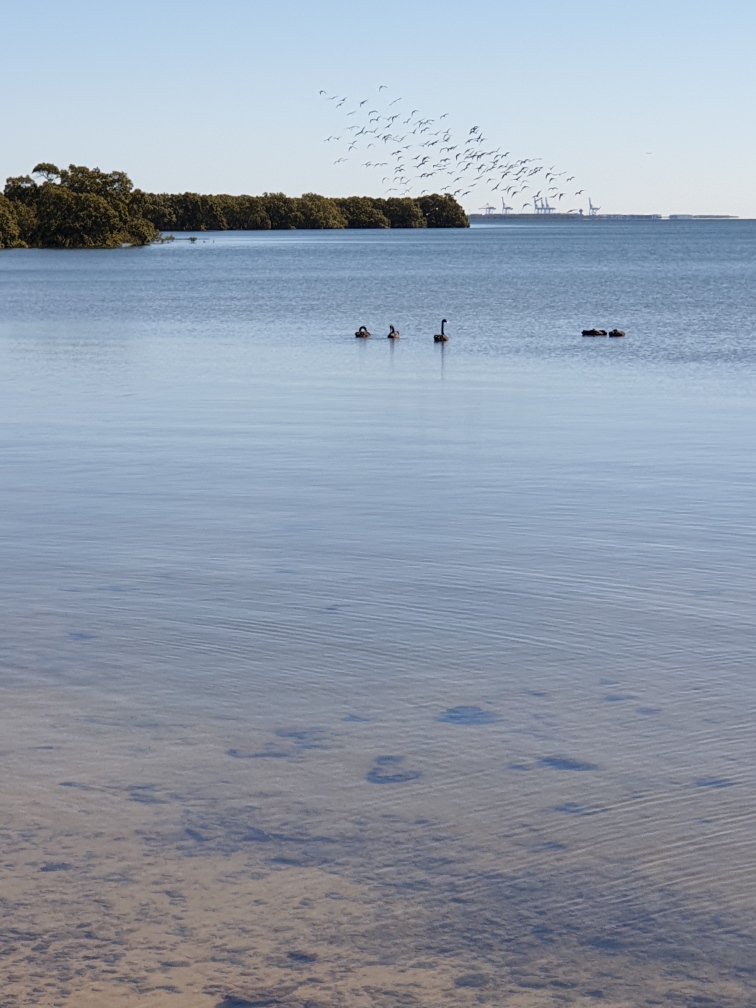 Beth Boyd Park Playground | Thorneside QLD 4158, Australia | Phone: (07) 3829 8999