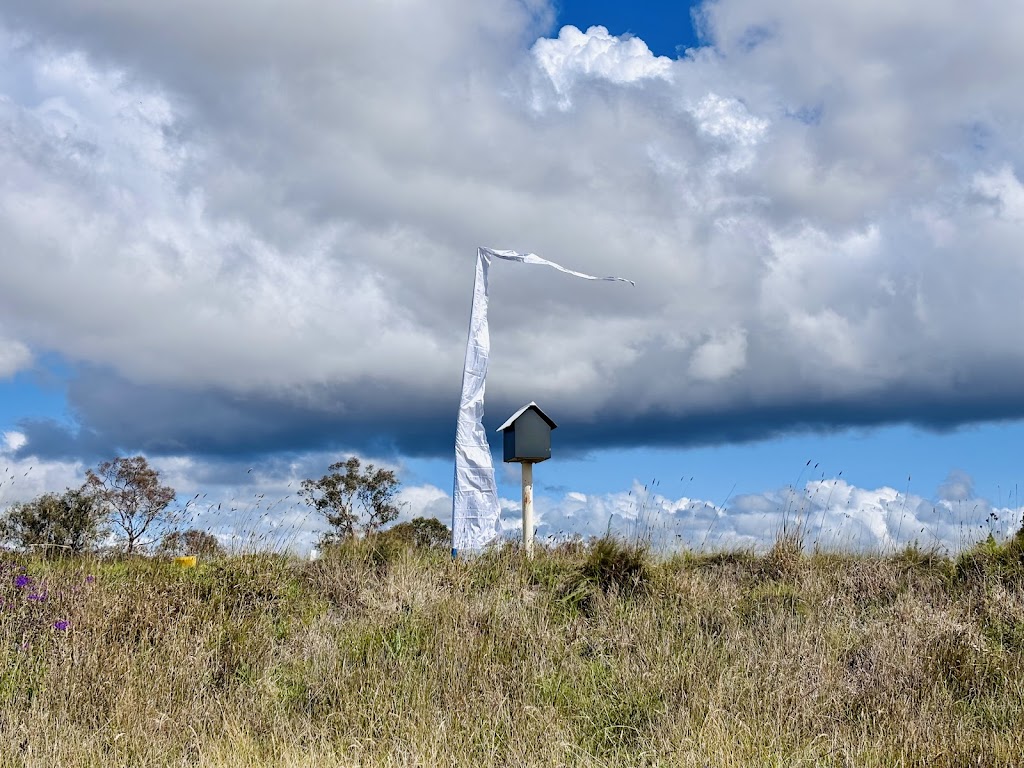 Up The Top | 8447 New England Hwy, Glencoe NSW 2365, Australia | Phone: 0419 170 581