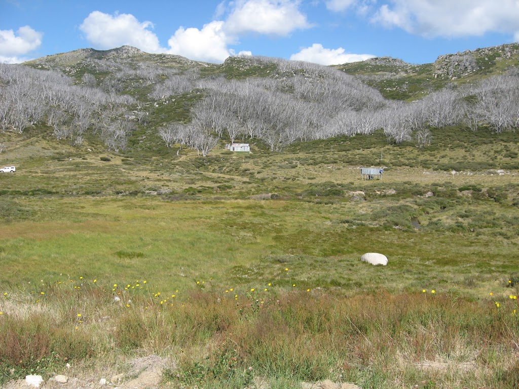 Whites River Hut & Camping Area | Kosciuszko National Park NSW 2627, Australia