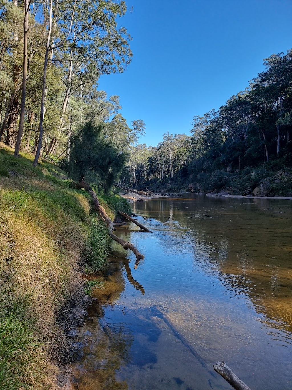 Jila Campground | 152 Mountain Ave, Yarramundi NSW 2753, Australia | Phone: 0418 738 784