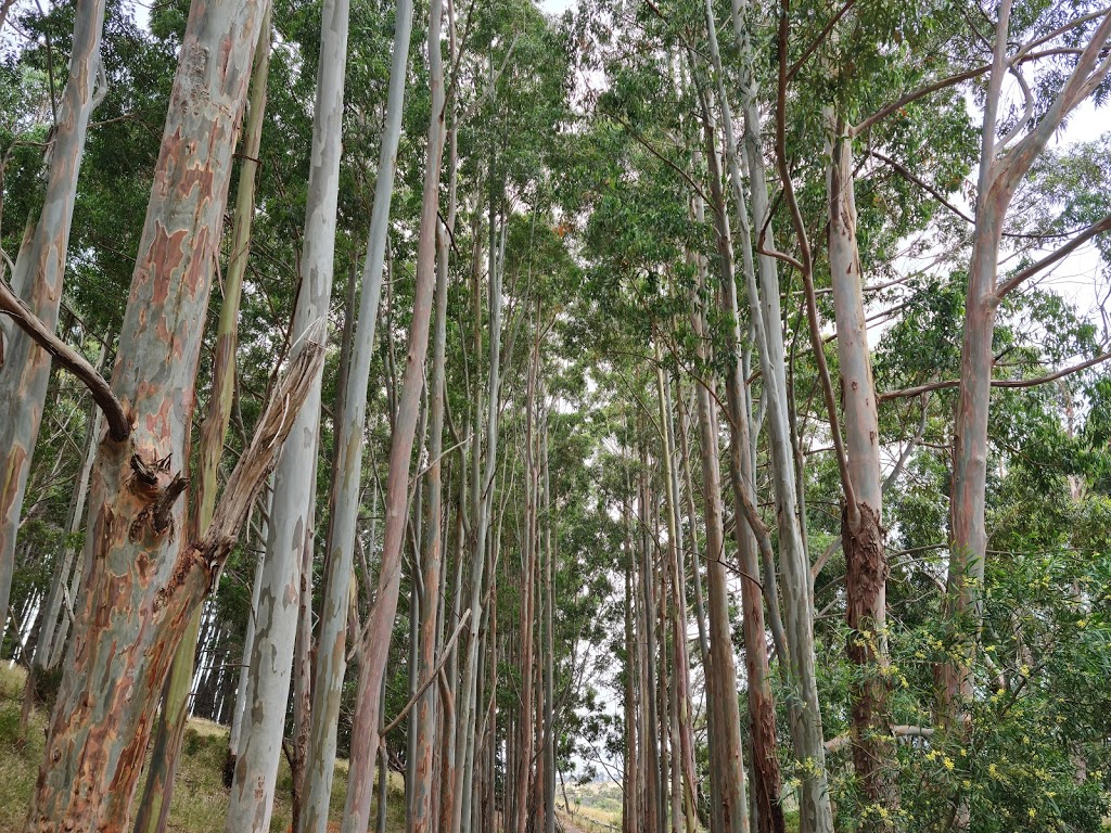 Ingalalla Falls | tourist attraction | Hay Flat Rd, Hay Flat SA 5204, Australia | 0885580200 OR +61 8 8558 0200