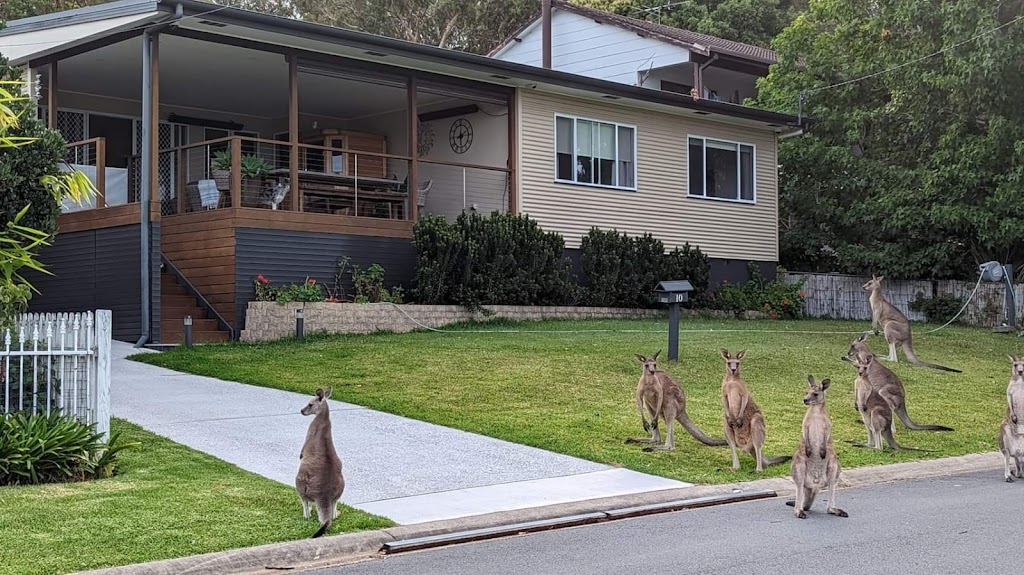 Blue Yonder Lodge and Studio | 10 Short St, Wyee Point NSW 2259, Australia | Phone: 0415 301 826