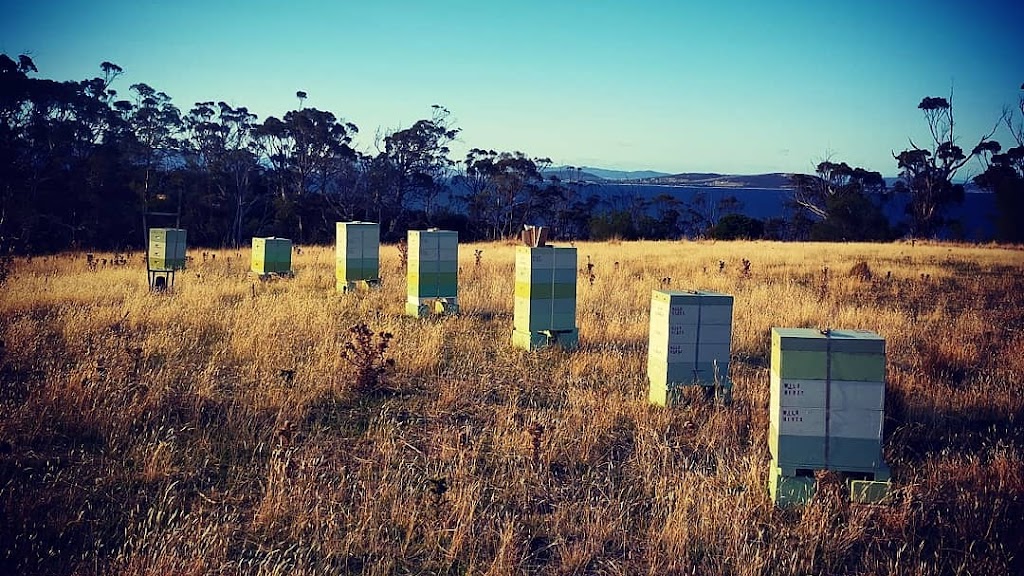 Wild Hives Honey | 13148 Tasman Hwy, Swansea TAS 7190, Australia | Phone: 0459 393 695