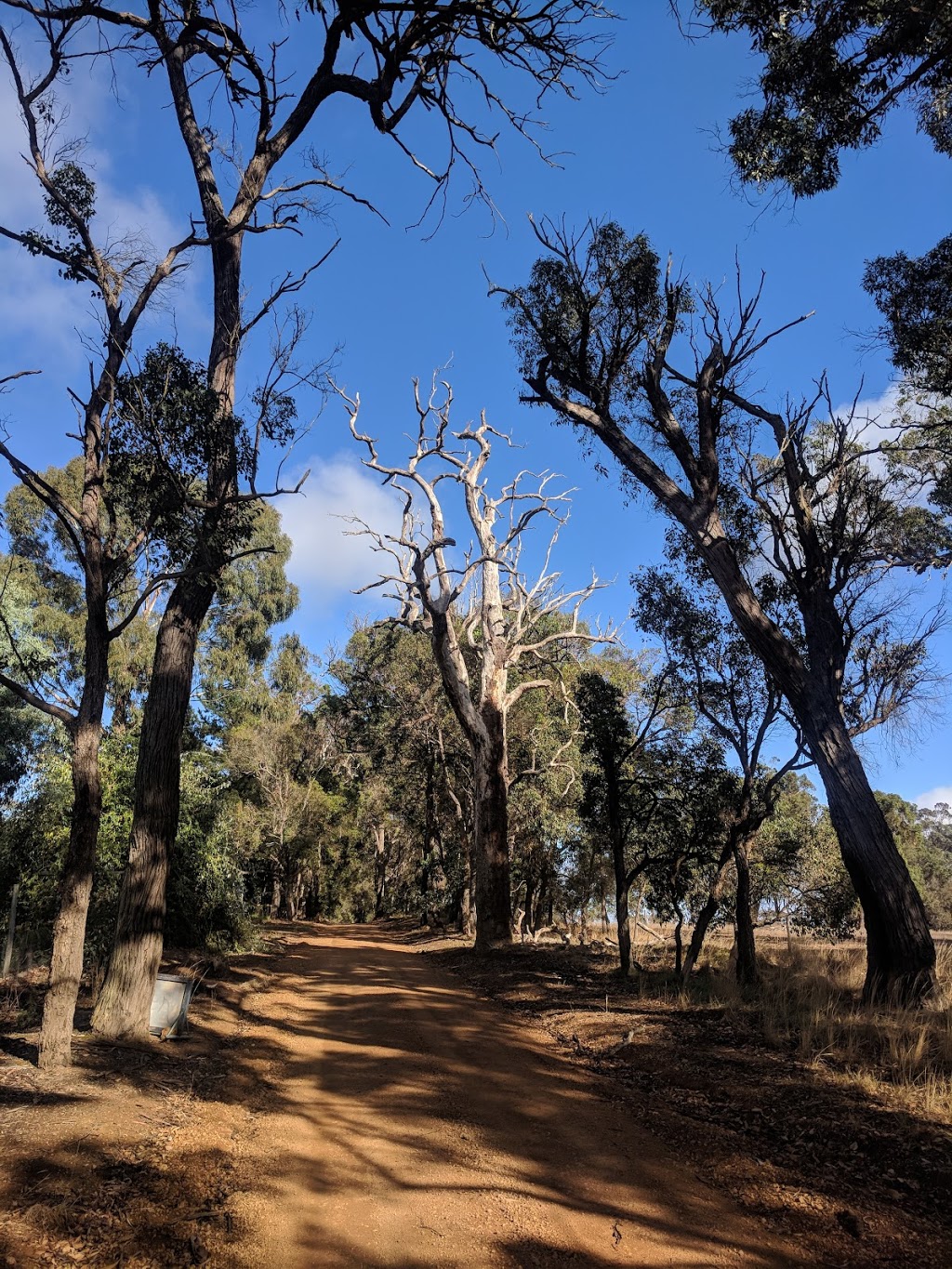 Where the Gum Trees Are | lodging | 303 Ward Rd, Mount Barker WA 6324, Australia