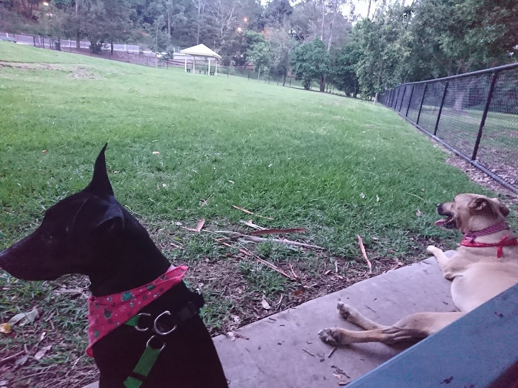 Shand Street Dog Park | park | 100 Shand St, Stafford QLD 4053, Australia