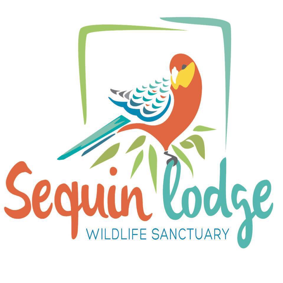 Sequin lodge wildlife sanctuary | park | 61 W Boundary Rd, Manjimup WA 6258, Australia | 0459250386 OR +61 459 250 386
