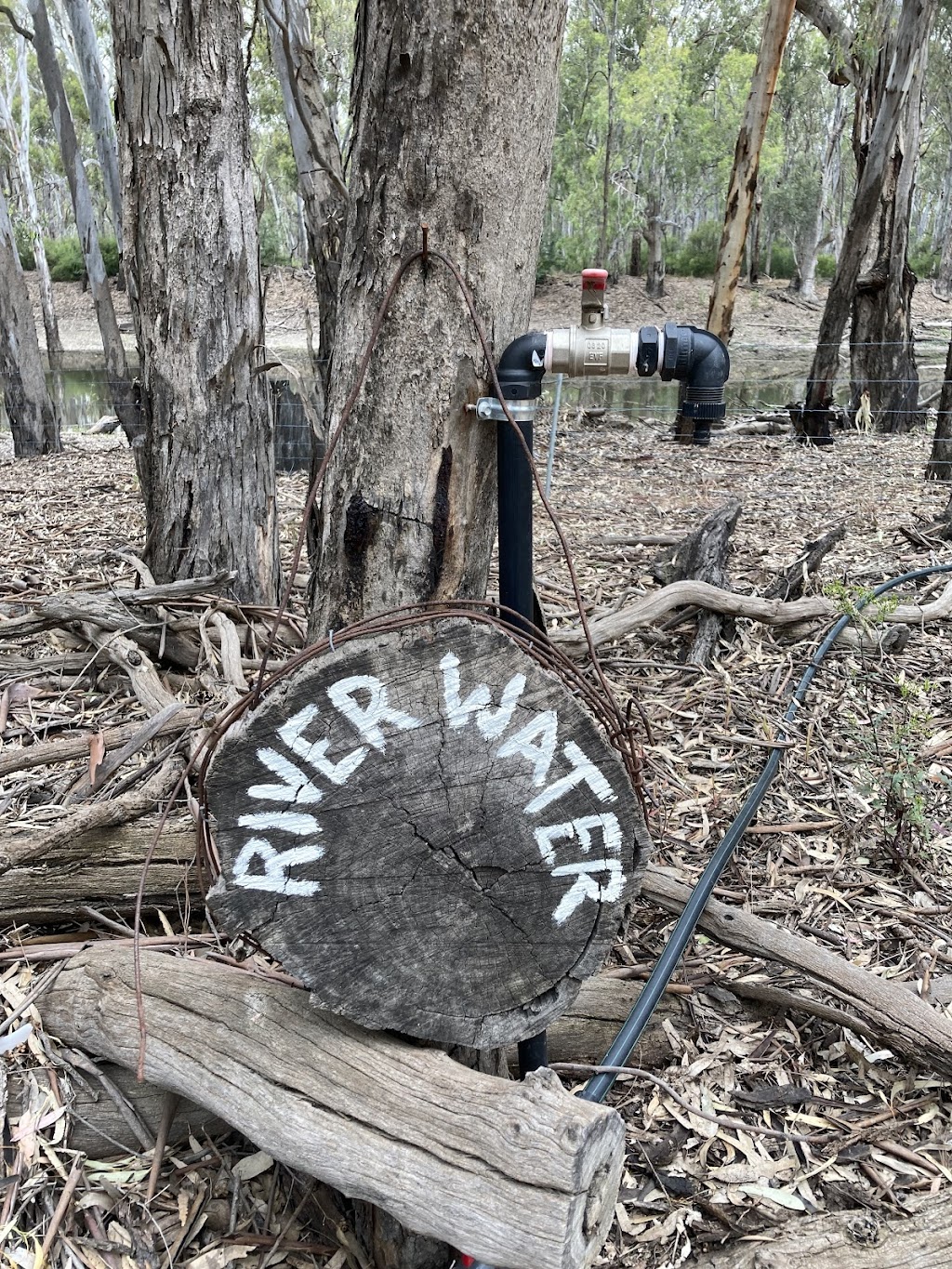 Gate 2 - Tooranie Stay Camp, and Glamp | Old Barmah Rd, Moama NSW 2731, Australia | Phone: 0425 875 029
