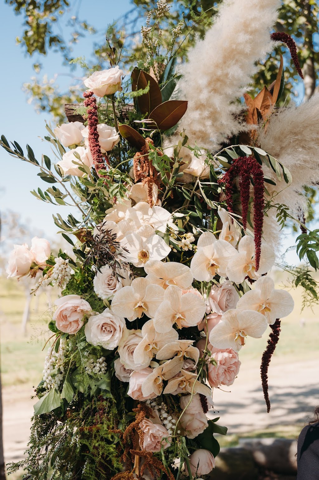 Wild Posy Co. | 9 Gerard Ct, Walkerston QLD 4751, Australia | Phone: (07) 4863 4727