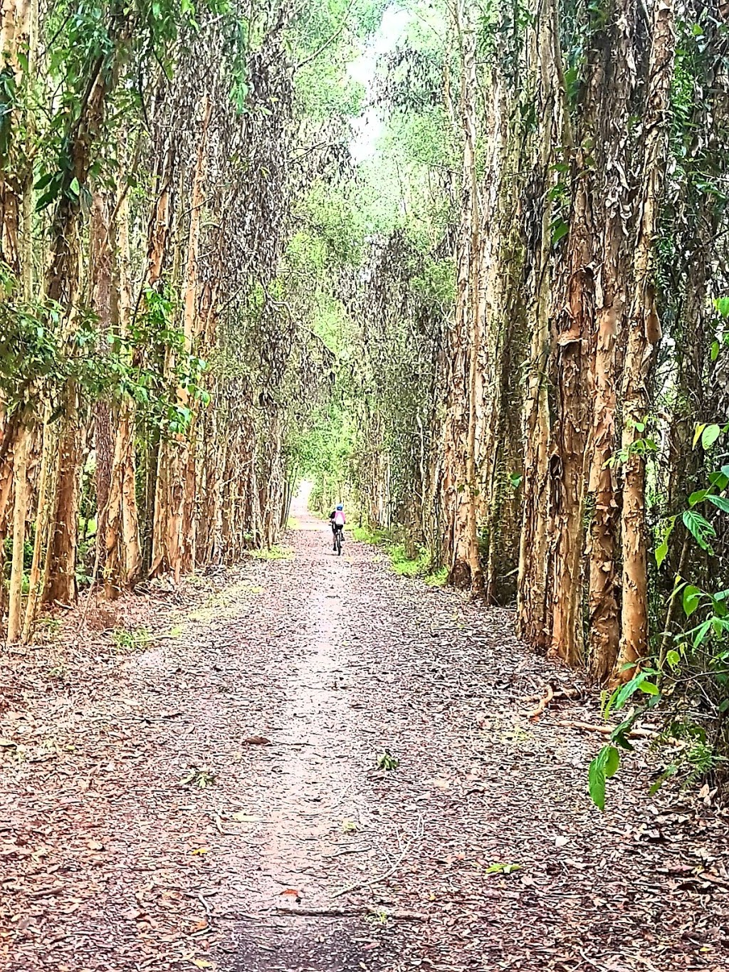 Carbrook Wetlands Conservation Park | Carbrook QLD 4130, Australia