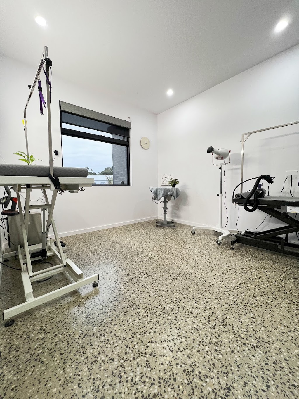 Dog N Grooming | 85 Domain Dr, Batesford VIC 3213, Australia | Phone: 0450 155 603 Dog N Grooming | 85 Domain Dr, Batesford VIC 3213, Australia | Phone: 0450 155 603