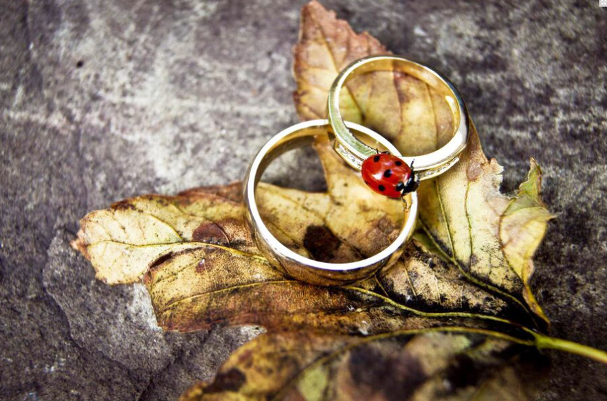 Just Rebecca Photography | 90 Casuarina Dr, Elanora QLD 4221, Australia | Phone: 0401 111 750