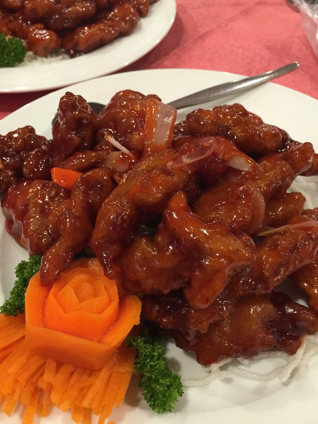 The Camellia Chinese Restaurant | restaurant | 384 Auburn St, Goulburn NSW 2580, Australia | 0248216688 OR +61 2 4821 6688