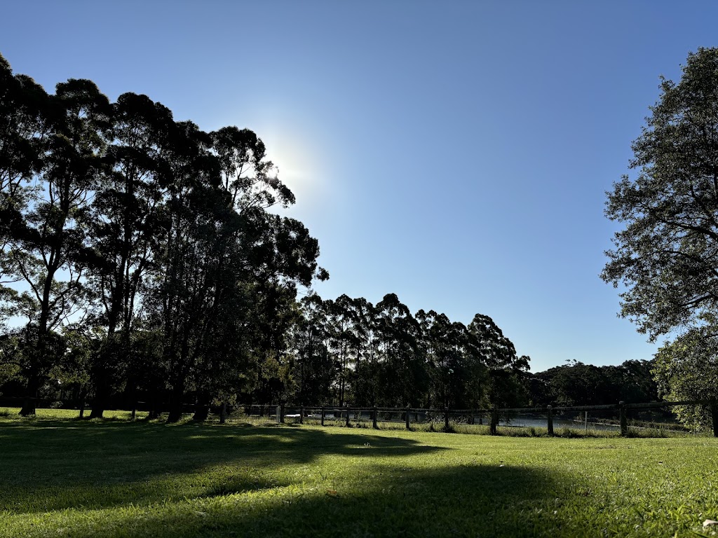 Little Woofs Doggy Daycare | 611b Wisemans Ferry Rd, Somersby NSW 2250, Australia | Phone: 0424 368 770