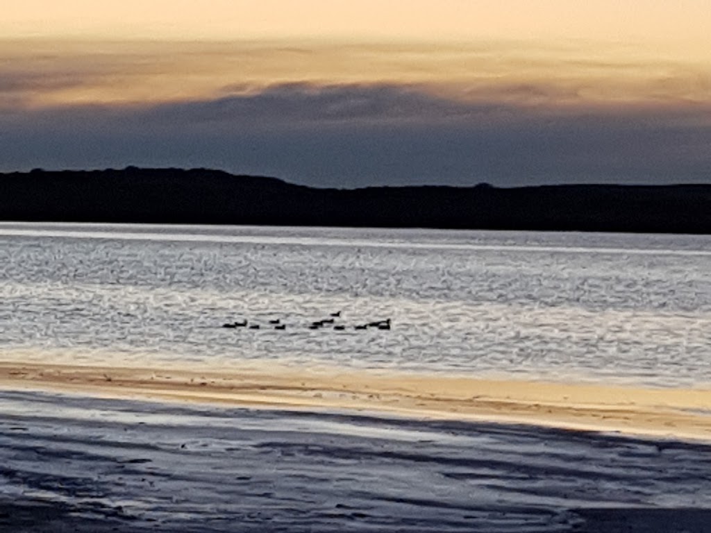 Pelican campground, Parnka Point | Coorong SA 5264, Australia