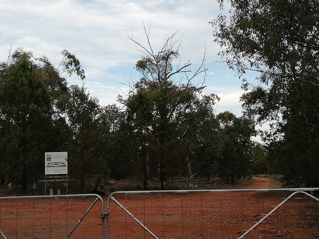 Kindra State Forest | park | Lewis St N, Coolamon NSW 2701, Australia