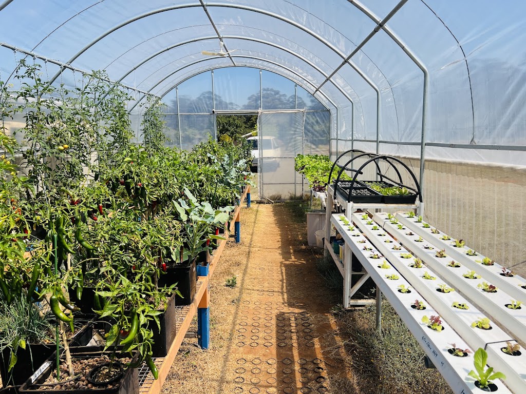 Fiery Fish Farm | 218 Martin Cres, Benarkin North QLD 4314, Australia | Phone: 0432 114 101