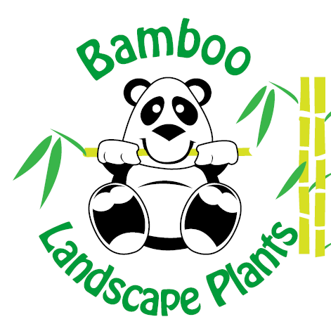 Bamboo Landscape Plants | store | 108 Wattleup Rd, Wattleup WA 6166, Australia | 0894101453 OR +61 8 9410 1453