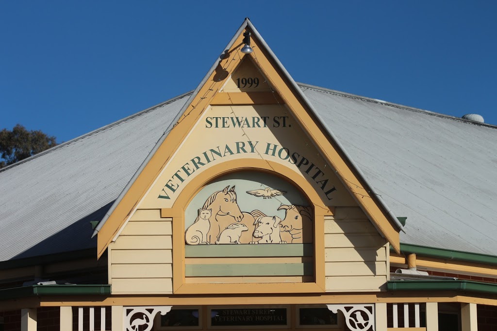 Stewart Street Veterinary Hospital | 156 Stewart St, Bathurst NSW 2795, Australia | Phone: (02) 6331 1222