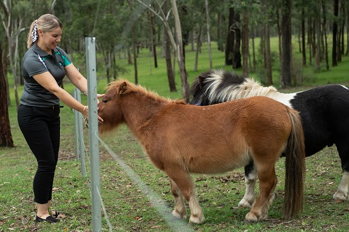 Ravensfield Respite | 427 Wollombi Rd, Farley NSW 2320, Australia | Phone: 0483 115 582