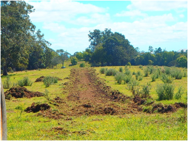 Dennehy & Sons Earthmoving | general contractor | 1663 Eumundi Kenilworth Rd, Belli Park QLD 4562, Australia | 0412710933 OR +61 412 710 933