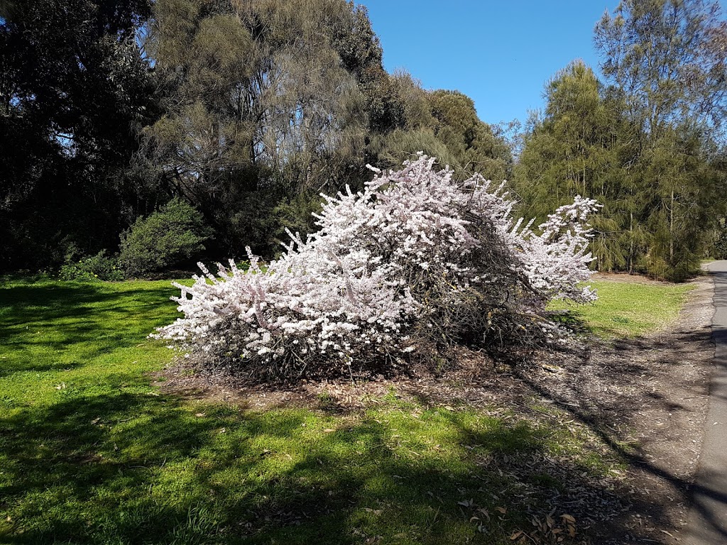 Barwon River | King Lloyd Recreation Reserve, Geelong VIC 3220, Australia