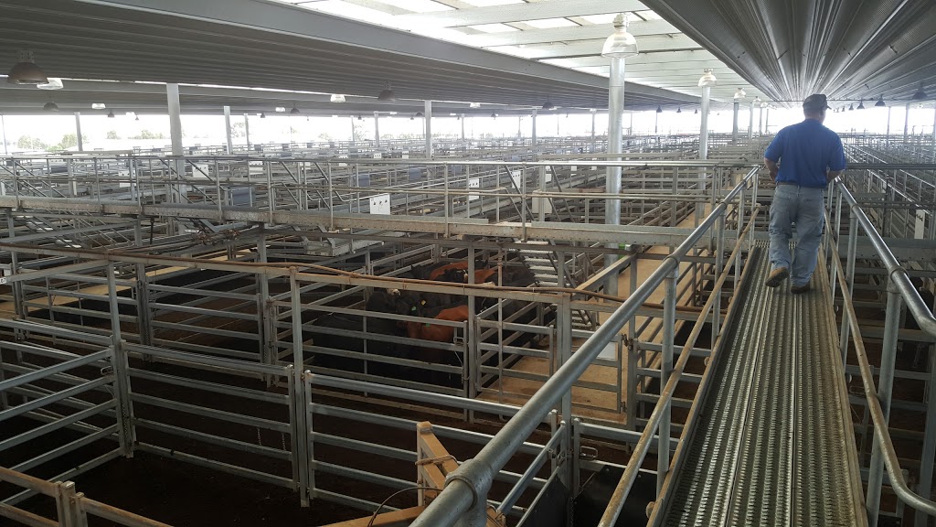 Tamworth Regional Livestock Exchange | Phoenix St, Westdale NSW 2340, Australia | Phone: (02) 6764 9700