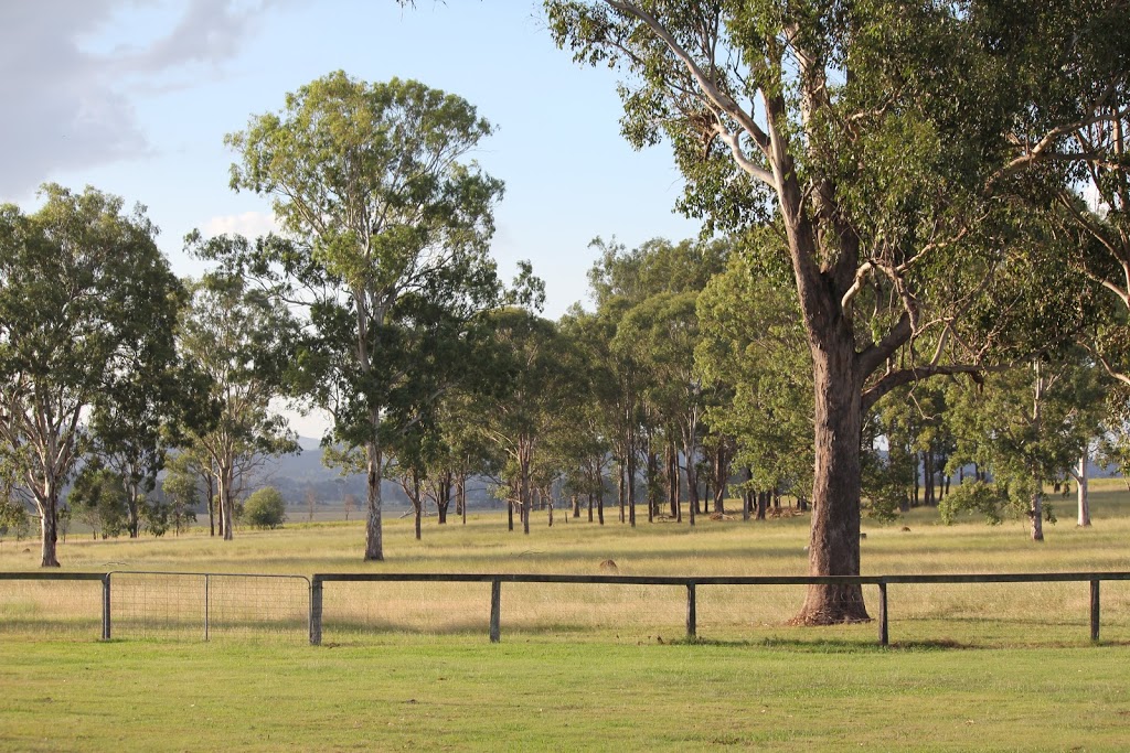 Towri Sheep Cheeses | 206 Saville Rd, Allenview QLD 4285, Australia | Phone: 0403 463 429