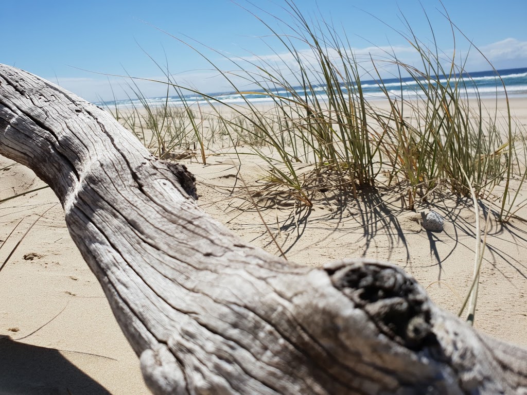 Wooyung Nature Reserve | park | Wooyung NSW 2483, Australia