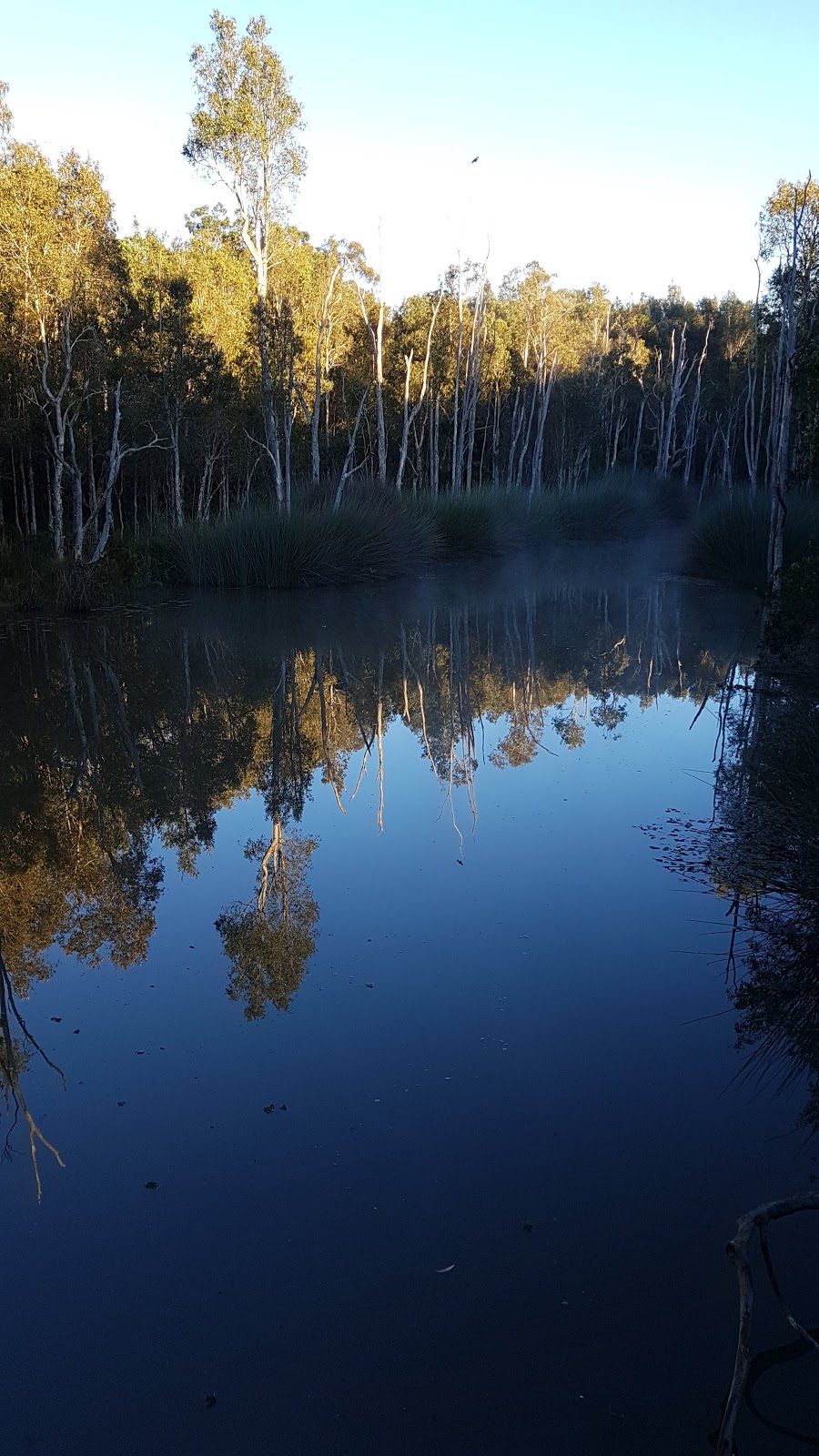 Karawatha Forest South | 303 Illaweena St, Drewvale QLD 4116, Australia | Phone: (07) 3403 8888