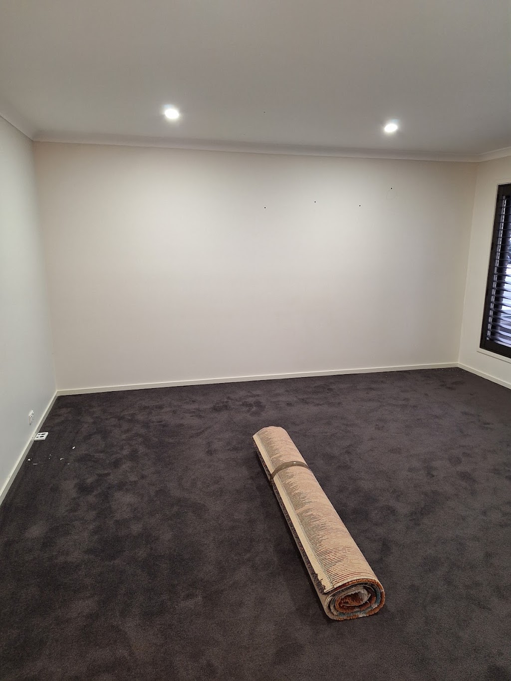 Wow Clean Carpets | Warehouse 7/12 kadak Pl, Breakwater VIC 3219, Australia | Phone: 0418 120 387