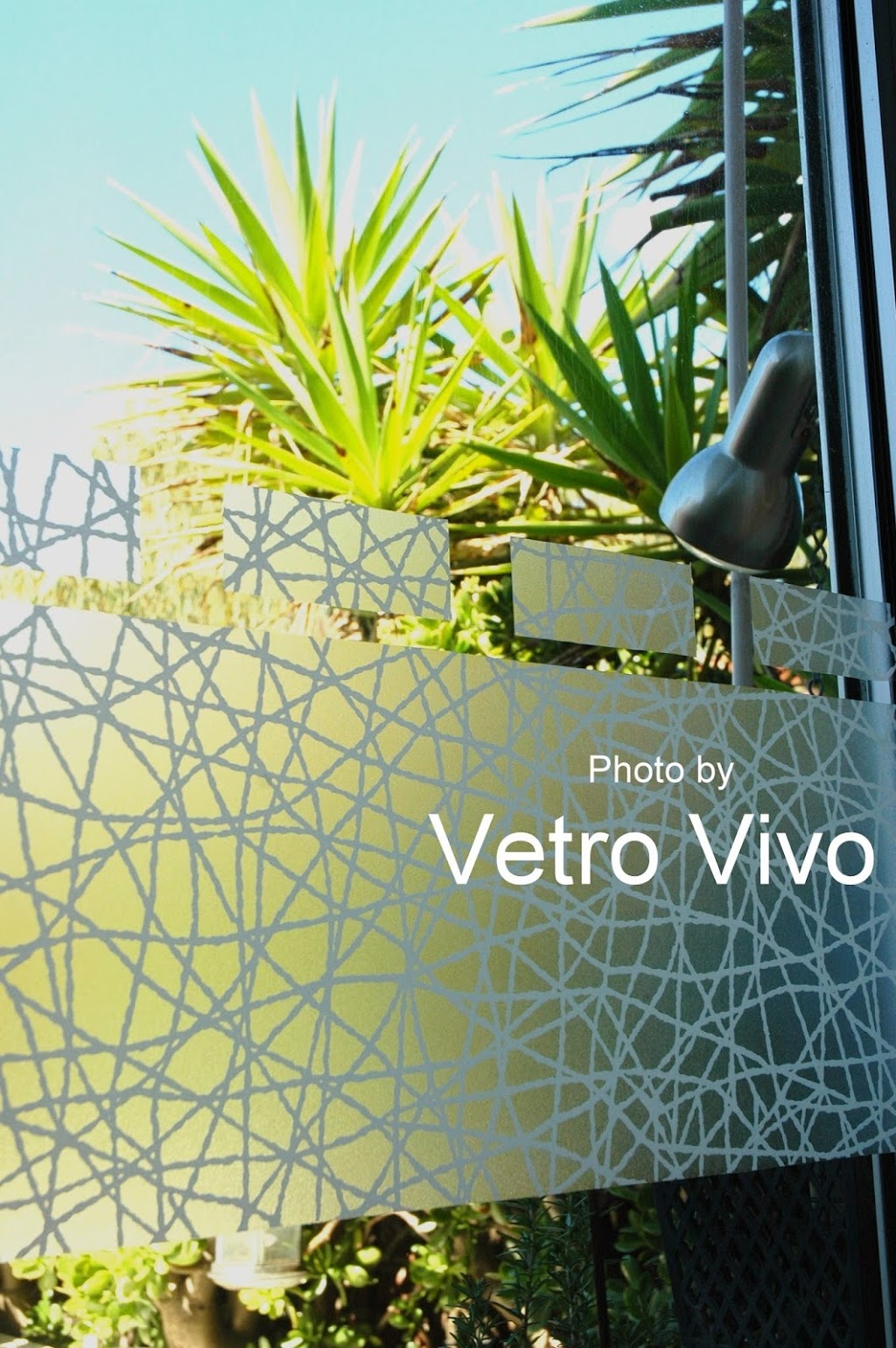 Vetro Vivo | 6/14-20 Lens St, Coburg North VIC 3058, Australia | Phone: 0411 301 656