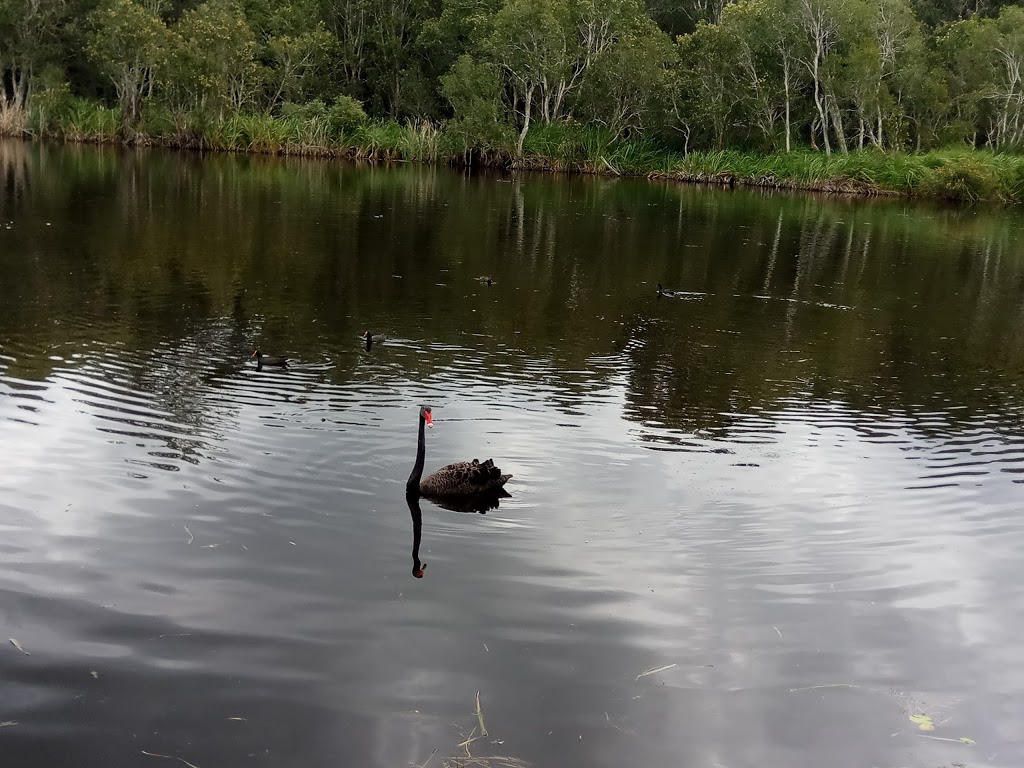 Nudgee Waterhole Reserve | 1186 Nudgee Rd, Nudgee QLD 4014, Australia | Phone: (07) 3403 8888