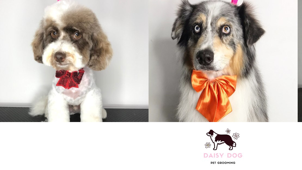 Daisy Dog Pet Grooming | 3 Black Duck Crossing, Kilmore VIC 3764, Australia | Phone: 0422 535 366