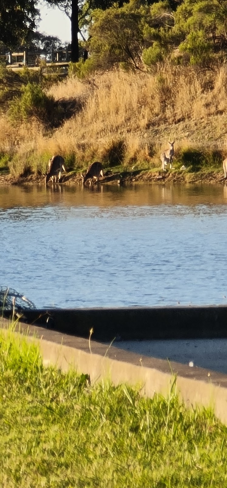 Northern Suburbs Fly Fishing Club | 649 Yan Yean Rd, Yarrambat VIC 3091, Australia | Phone: 0487 337 946