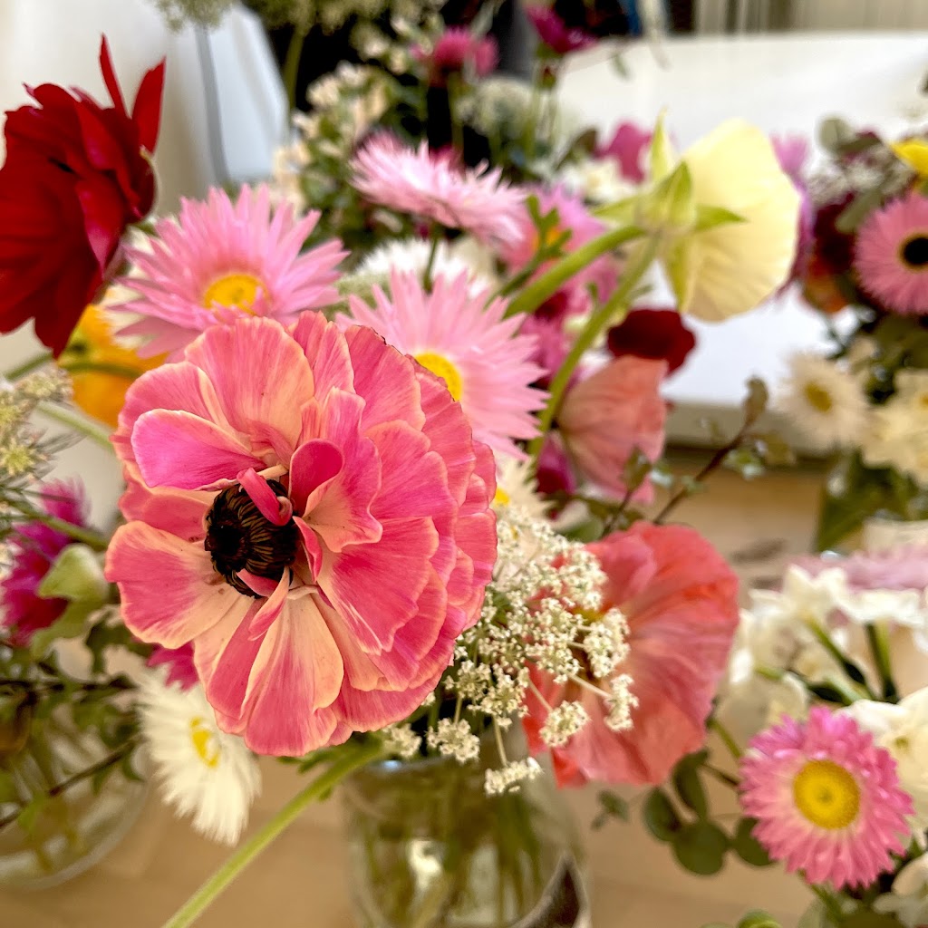 Serendipity Strawberry & Flower Farm | 1556 Princes Hwy, Bimbimbie NSW 2536, Australia | Phone: 0417 469 525