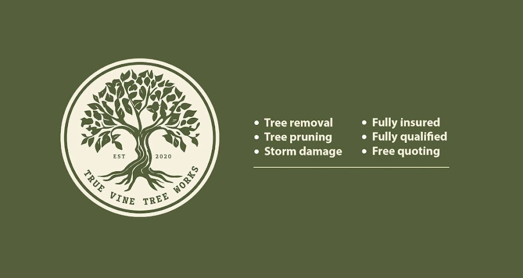 True Vine Tree Works | Lot 1/297 Arthur Summervilles Rd, Karalee QLD 4074, Australia | Phone: 0458 535 287