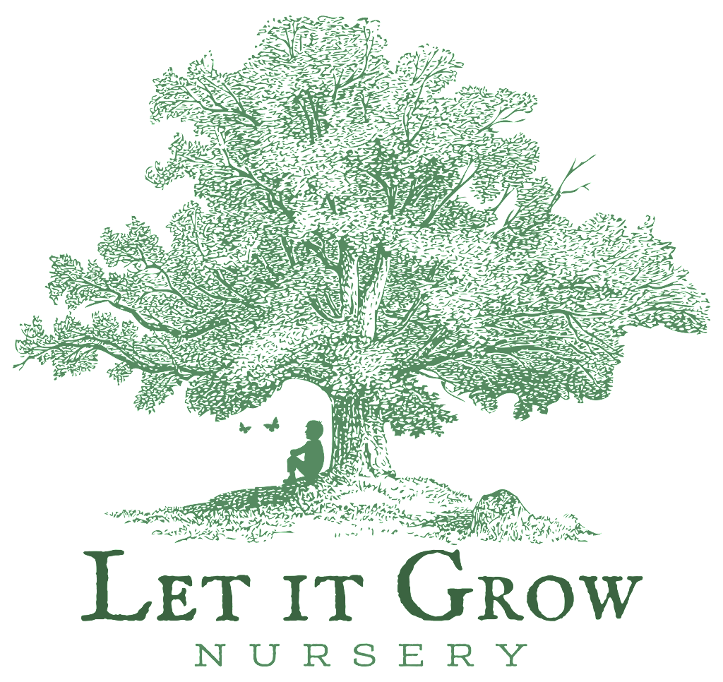 Let it Grow Nursery | 98 Reynolds Rd, Londonderry NSW 2753, Australia | Phone: 0435 500 984