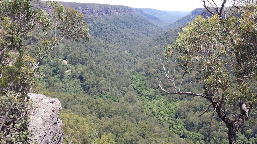 Meryla State Forest | park | Fitzroy Falls NSW 2577, Australia | 1300655687 OR +61 1300 655 687