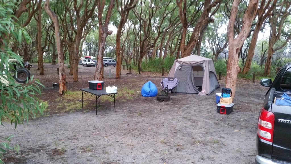 Stewart and Lloyds campground | Mungo Brush Rd, Hawks Nest NSW 2324, Australia | Phone: (02) 6591 0300