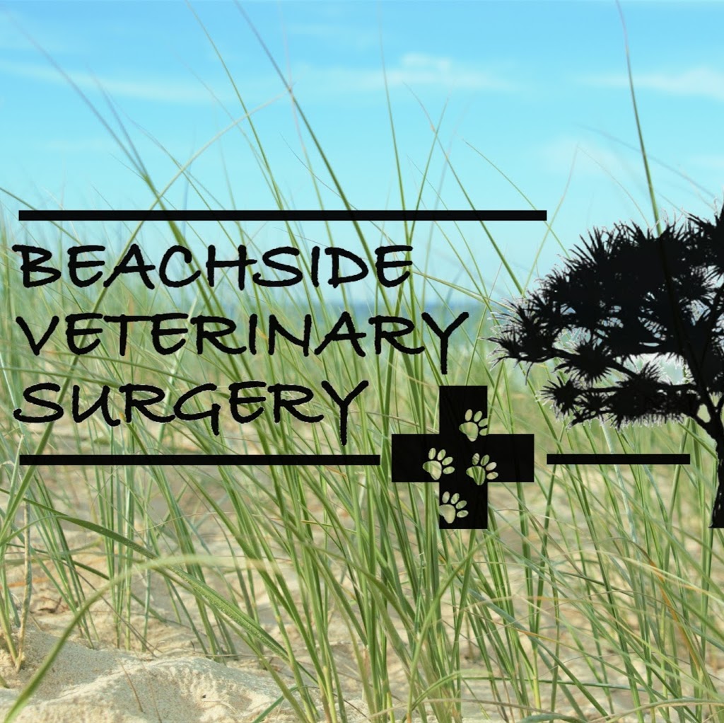 Beachside Veterinary Surgery | 21 S Coolum Rd, Coolum Beach QLD 4573, Australia | Phone: (07) 5471 7181