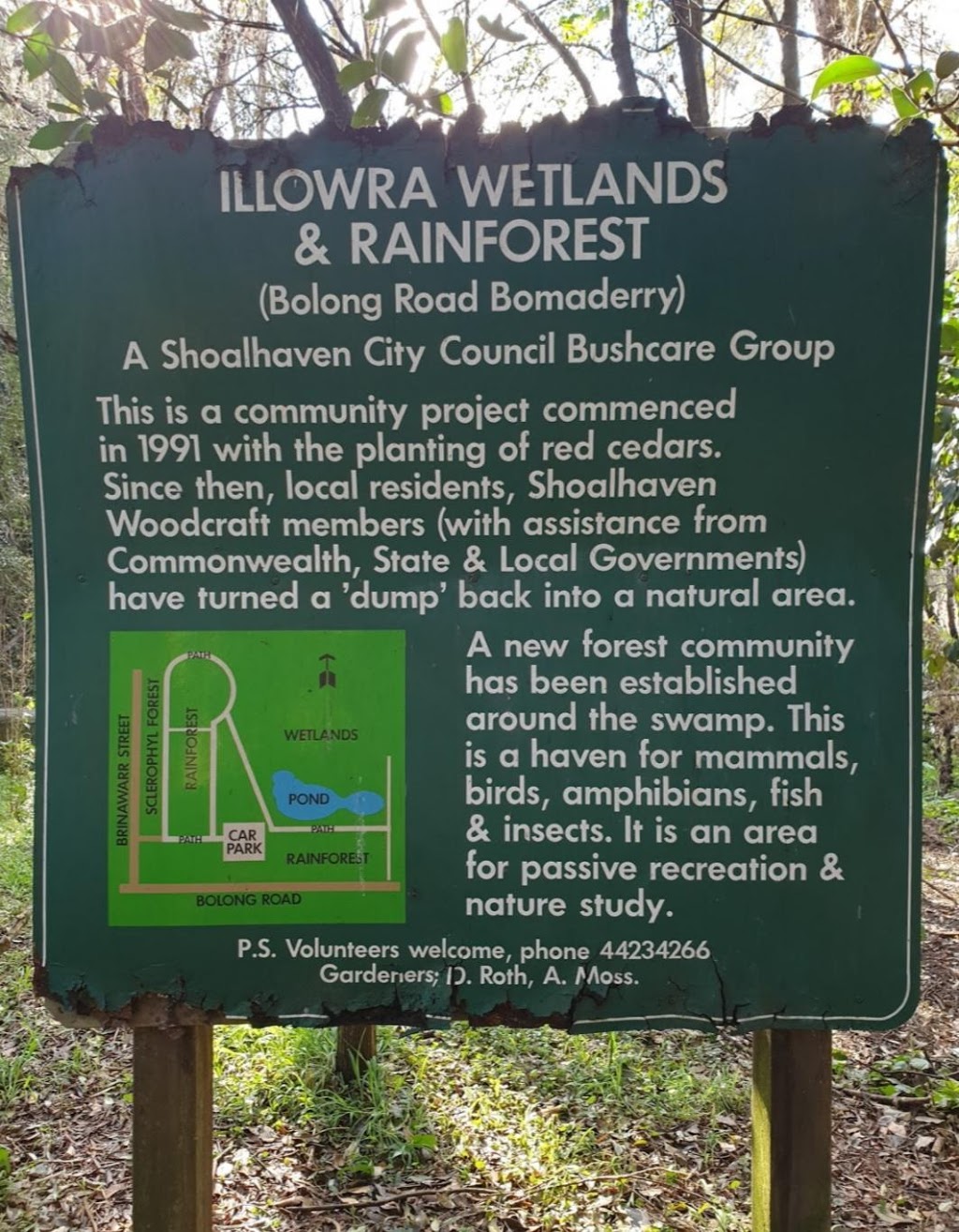 ILLOWRA Wetland and Rainforests Reserve, Home of The Grey Flying Fox | Bomaderry NSW 2541, Australia